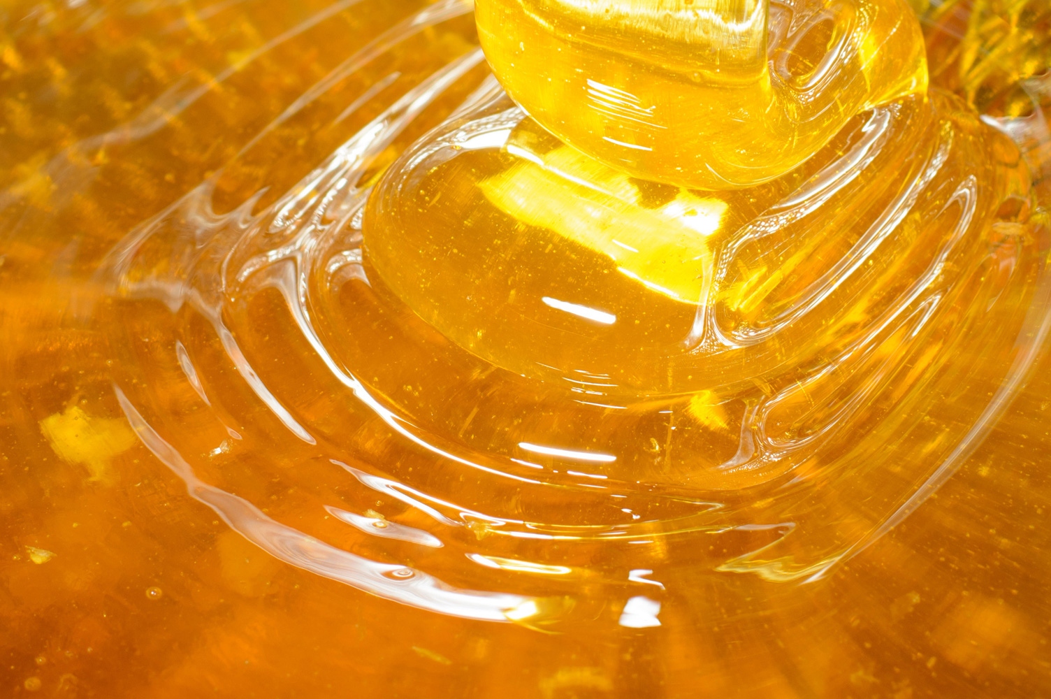 はちみつ 蜂蜜　ハチミツ　国産純粋蜂蜜